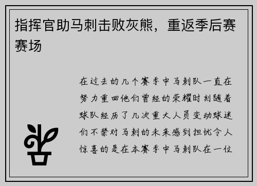 指挥官助马刺击败灰熊，重返季后赛赛场